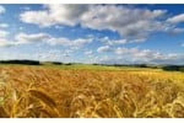 День Незалежності України