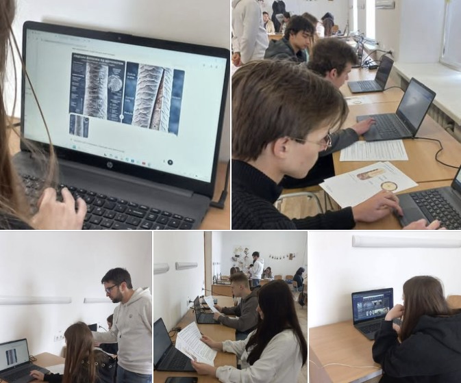 Сучасні цифрові інструменти для створення 3D-об’єму волосся людини
